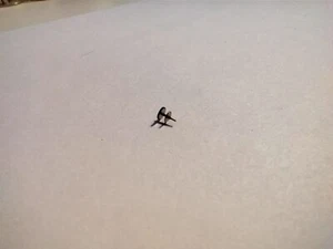 ETA 2894 - STÜCK MODUL 8510 - REF 222 - ZUSATZSEKUNDENRAD - NOS - Bild 1 von 3