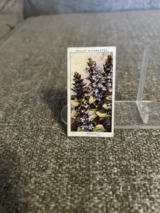 Wills’s Zigaretten Tabakkarte W.D. & H.O. Wills Wild Flowers #42 Bugle - Bild 1 von 2