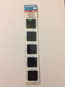 Vintage 1970s NEW Butchart Gardens Victoria Canada Color Slides 5 Pana Vue NOS - Picture 1 of 9