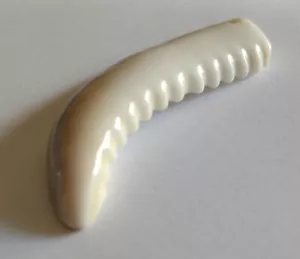 PERLANDO: Anhänger Kauri Zahn 53 mm Perlmutt Muschel gesägt - Bild 1 von 5