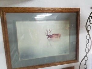 1985 Thomas D Mangelsen Limited Edition Print - Morning Light. Bull Elk 20"x14" - Picture 1 of 11