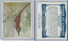 C2 Imperial Tobacco, Birds Of Canada, 1920's, #88 Brown Thrasher