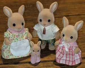Sylvanian Hopper Kangaroo Family Calico Critters Dad Mom Sister Newborn Baby - Picture 1 of 4