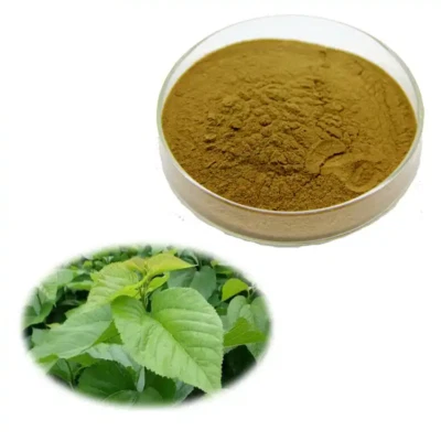 Extracto de hoja de morera pura natural de 7 oz/200 g 30:1 Foto 1 de 3