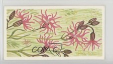 1990 Brooke Bond A Journey Downstream Tea Ragged Robin #13 0y5