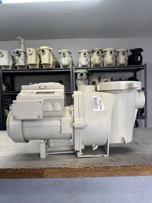 Pentair IntellFlo 011018/ 011028 Variable Speed EXCELLENT, PRO-PREPARED - Image 1 of 4