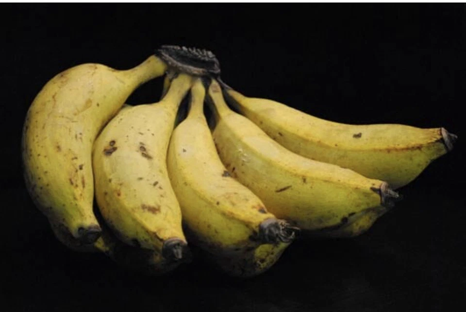 Apple Banana Manzano Banana Tree - Image 1 of 3