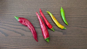 Guntur Sannam Chili Seeds Hot Indian Pepper Capsicum annuum 35K–40K SHU Heirloom - Bild 1 von 6