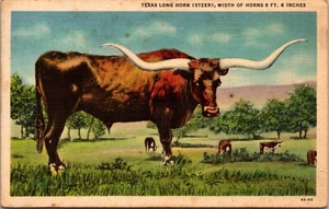 Postal de lino Big Texas Long Horn Texas F5 - Imagen 1 de 2