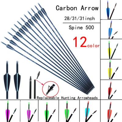28"/30"/31" Archery carbon arrow SP500 Screw Tip for Compound/Recurve Bow arrows - Image 1 of 4