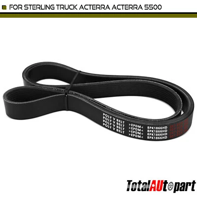 Heavy Duty Serpentine Belt for Sterling Truck Acterra Acterra 5500 2005 73.45 in - Image 1 of 4