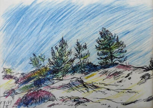 Kliefert, Erich (1893 Berlin–1994 Stralsund) „Bewachsene Düne-Hiddensee“ Ostsee - Bild 1 von 10