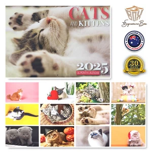 2025 Wall Calendar 16 Months CATS & KITTENS New Year Gift Planner Organiser New - Picture 1 of 1
