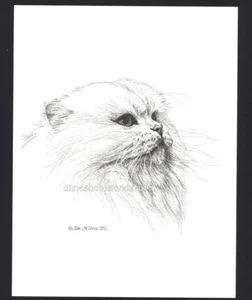 #397 WHITE PERSIAN facing right * cat art print * pen & ink done by Jan Jellins - Picture 1 of 1