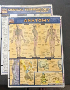 Quick Study Academic Guides Anatomy & Medical Terminology Lot - Picture 1 of 6