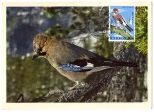 922+ FDC CARTE 1er JOUR CHYPRE GEAI DES CHENES - Picture 1 of 1