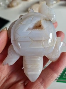 Achat Schildkröte mit Druse - Bild 1 von 6