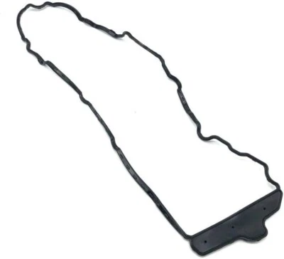 GM GMC Acadia 2008-2017 lado del conductor árbol de levas sello de cubierta 12607401 Foto 1 de 3