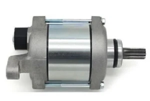 Motor de Arranque Honda Fes S Wing 125 2007-2012 - Imagen 1 de 1