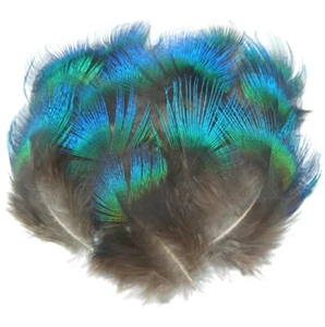 Rare Natural Blue Fan Feathers 3cm - 8cm Peacock Fly Craft Hat Arts Costume UK - Picture 1 of 3