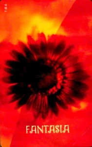 G 1204 C&C 3223 SCHEDA TELEFONICA NUOVA EMOZIONI FANTASIA - OCR ROVINATO - Foto 1 di 2