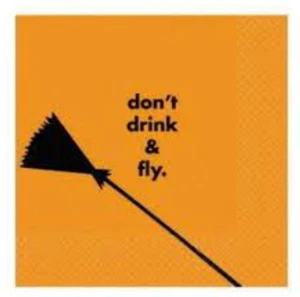 Halloween Party Supplies Don't Drink & Fly Beverage Napkins (Pack of 16 / 25 cm) - Picture 1 of 1