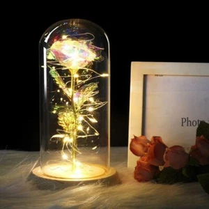 IRONA Beauty and Beast Rose, 24cm Glass Dome with 20 LED Lights, Forever Artific - Picture 1 of 5