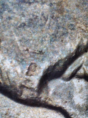 2002 D Mississippi quarter Strike Die Chip Error  - Image 1 of 4