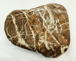 GB WYSIWYG Petrified Wood Plant Aquarium Fish Tank Terrarium Reptile Cichlid - Picture 1 of 1