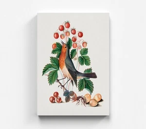 Lindo animal lienzo pájaros arte murales lienzo de colores arte imagen - Imagen 1 de 7