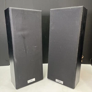 Acoustic Image Bi-Amp Floorstanding Bookshelf HiFi Speakers GT 338 Pure Titanium - Picture 1 of 13