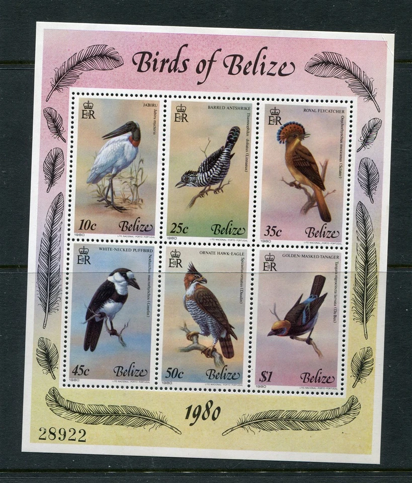 Hoja de recuerdo de aves de Belice #500 [como nueva nunca montada] Foto 1 de 1