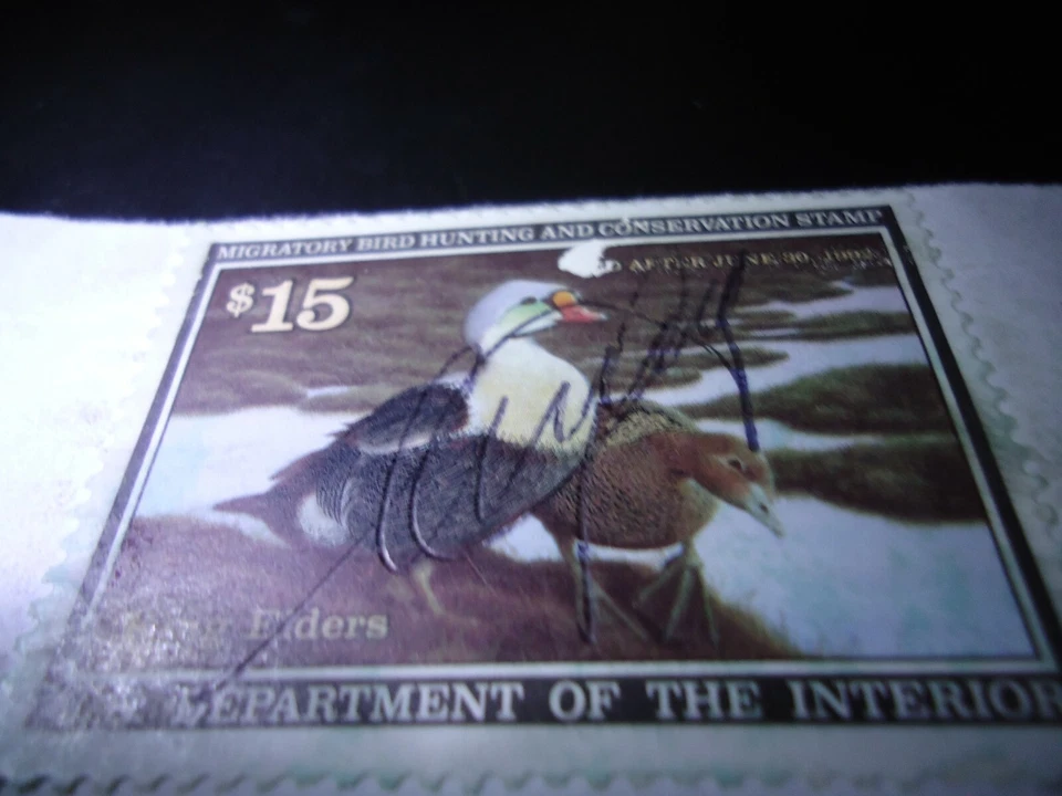 . Migratory Waterfowl. 1991 Washington Duck Stamp. MNH. 1991 - Image 1 of 1