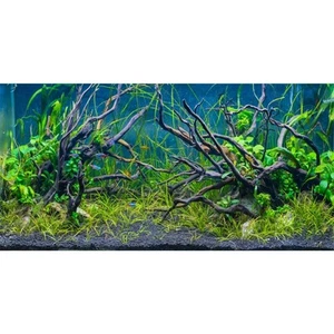 36x18 inches Tropical Fish Tank Background River Bed & Lake Aquatic Plant Und... - Picture 1 of 5