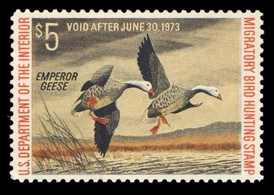 RW39 NH PSE Graded 95, PSE  Certificate # 01223018 - Image 1 of 2