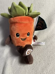 Maceta suculenta Build A Bear Get Well Soon peluche 10" amigos zanahoria regalo - Imagen 1 de 11