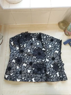 Bnwot Coast 100% Silk Boned Fitted Corset Top ,beautiful Mesh Embroidery Size 16 - Image 1 of 4