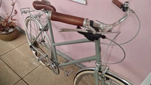 Temple Cycles Bicycle Sage Step Through Large - Picture 1 of 17