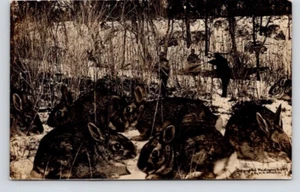 POSTCARD EXAGGERATED HUNTING GIANT RABBITS RPPC - Picture 1 of 2