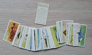 A Full set of Sea Fishes by John Player - Picture 1 of 1