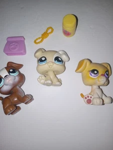 Littlest Pet Shop Rare 1706 Baby Boxer Puppy Dog Cream White + Boxer Dog 83, 451 - Picture 1 of 9