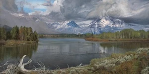 Phillip Philbeck Driftwood - The Oxbow Bend Giclee on Canvas 60x30 - Picture 1 of 1