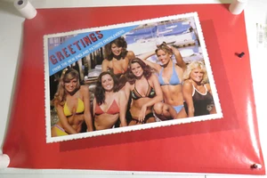 ROLLED VINTAGE 1981 NEW ENGLAND PATRIOTS CHEERLEADERS POSTCARD 20X28 POSTER - Picture 1 of 2