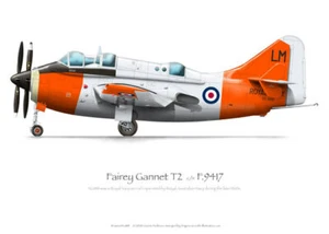 Fairey Gannet XG888 RAN - A3+ Profile Print - Imagen 1 de 2