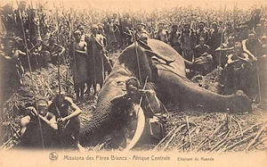 Rwanda - An Elephant - Publ. Missions of the White Fathers - - Rwanda - Un éléph - Picture 1 of 2