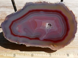 TCR LAGUNA (ALIANZA) AGATE/JASPER/LAPIDARY POLISHED HALF 272 GRAMS - Picture 1 of 5