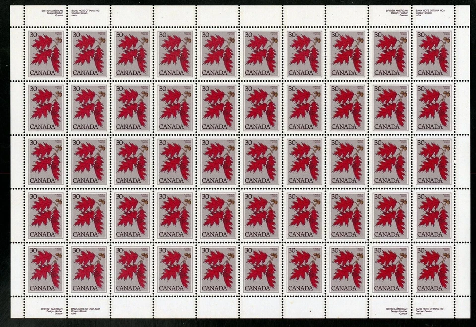 Canada Stamps — Full Pane of 50 — 1979, Tree Issue : Red Oak #720 MNH - Image 1 of 1