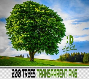 200 ARBRES VERTS TRANSPARENTS PNG SUPERPOSITIONS DE PHOTOSHOP NUMÉRIQUES TOILES DE FOND ARRIÈRE-PLANS - Photo 1 sur 12