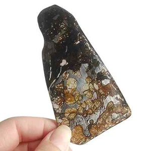 155CT Seymchan pallasite Meteorite SLICE From Russia TA739 - Picture 1 of 6