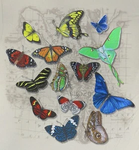 MARIPOSAS DEL MUNDO - Polillas Insecto Mariposa Insectos Naturaleza Camiseta 2 Caras S-XL - Imagen 1 de 4